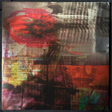 Load image into Gallery viewer, ANIMAL COLLECTIVE - CENTIPEDE HZ (2LP+DVD) (USED VINYL 2012 UK/EU M-/M-)
