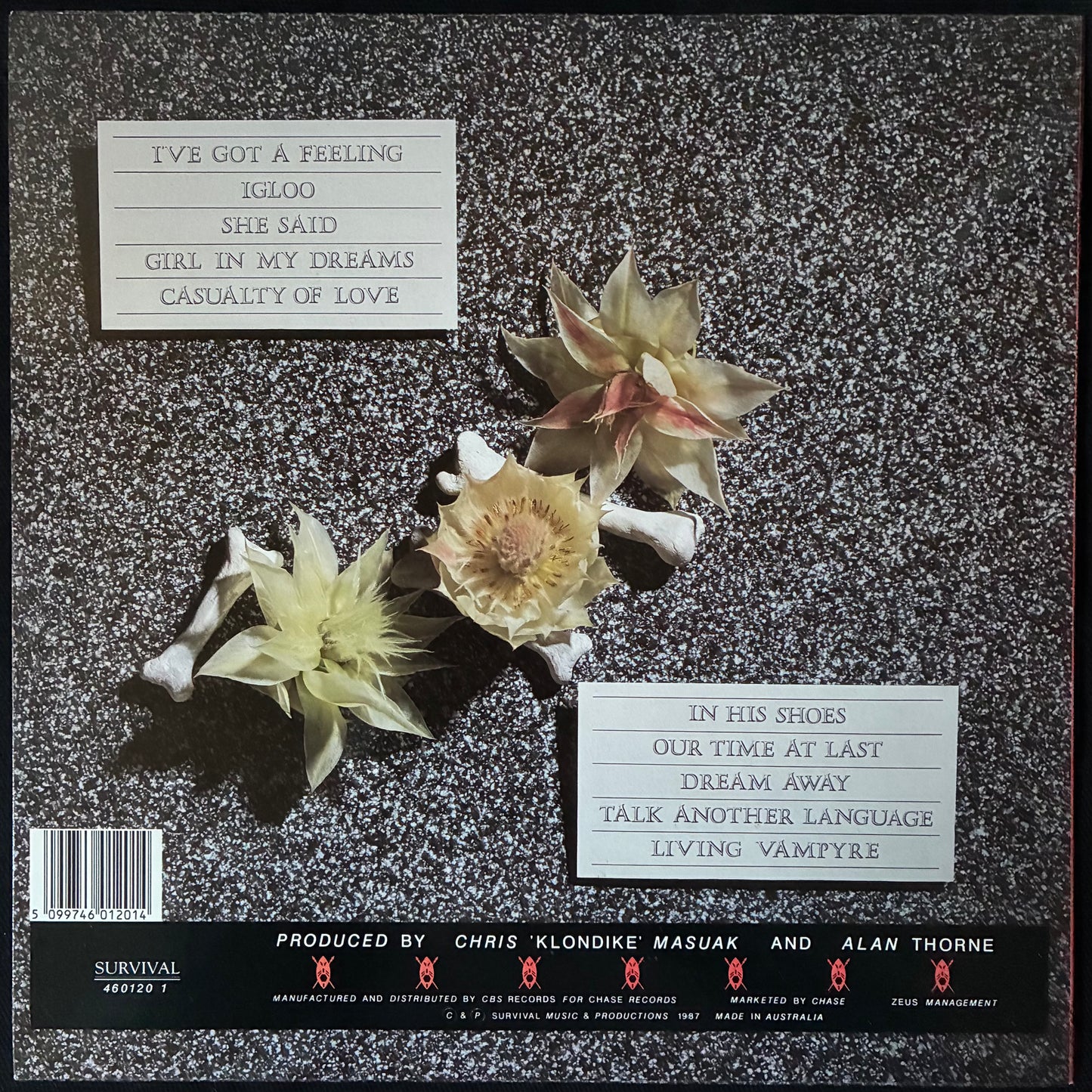 SCREAMING TRIBESMEN - BONES AND FLOWERS (USED VINYL 1987 AUS M-/M-)