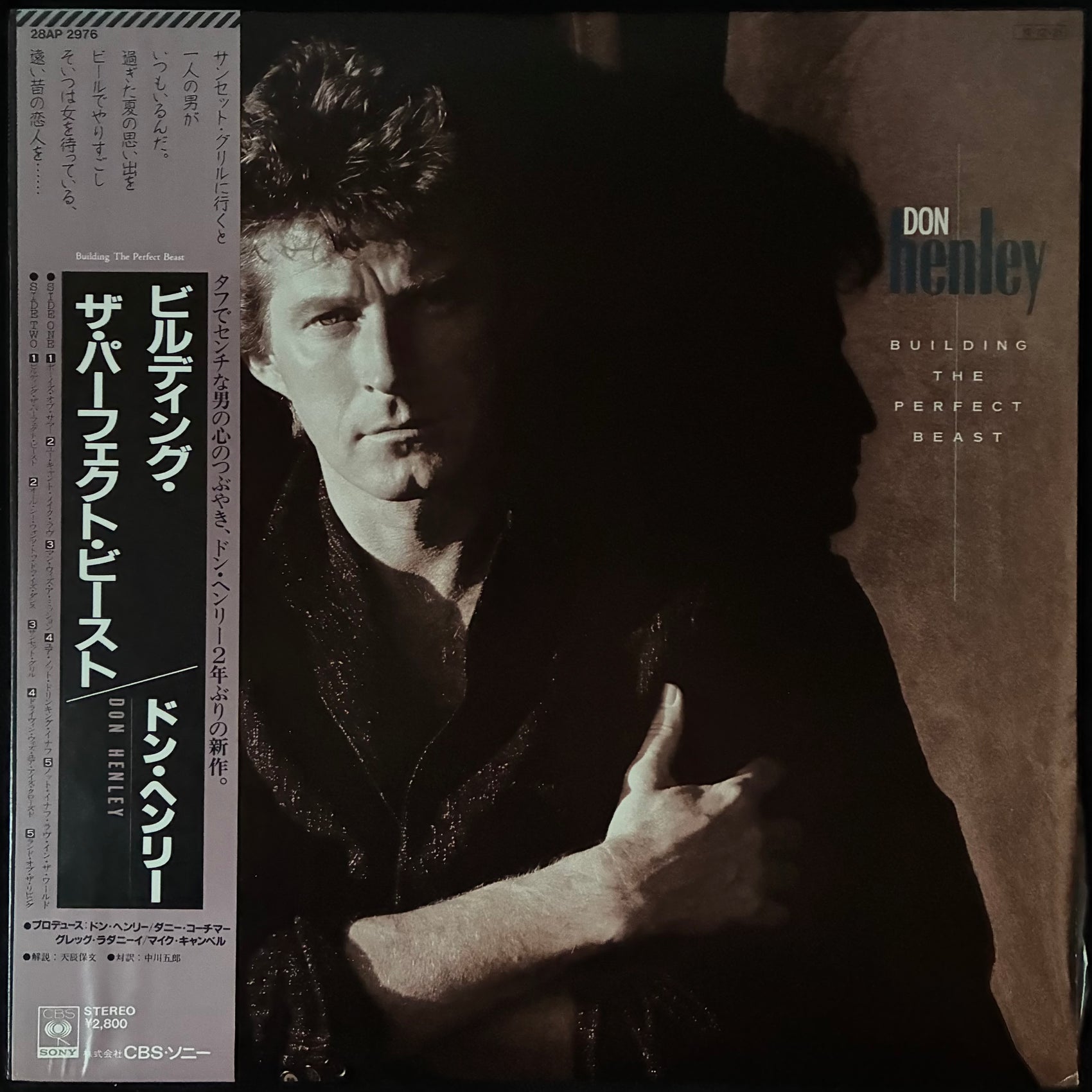 DON HENLEY - BUILDING THE PERFECT BEAST (USED VINYL 1984 JAPAN M-/M-)