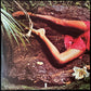 ROXY MUSIC - STRANDED (FIRST PRESSING) (USED VINYL 1974 AUS M-/M-)