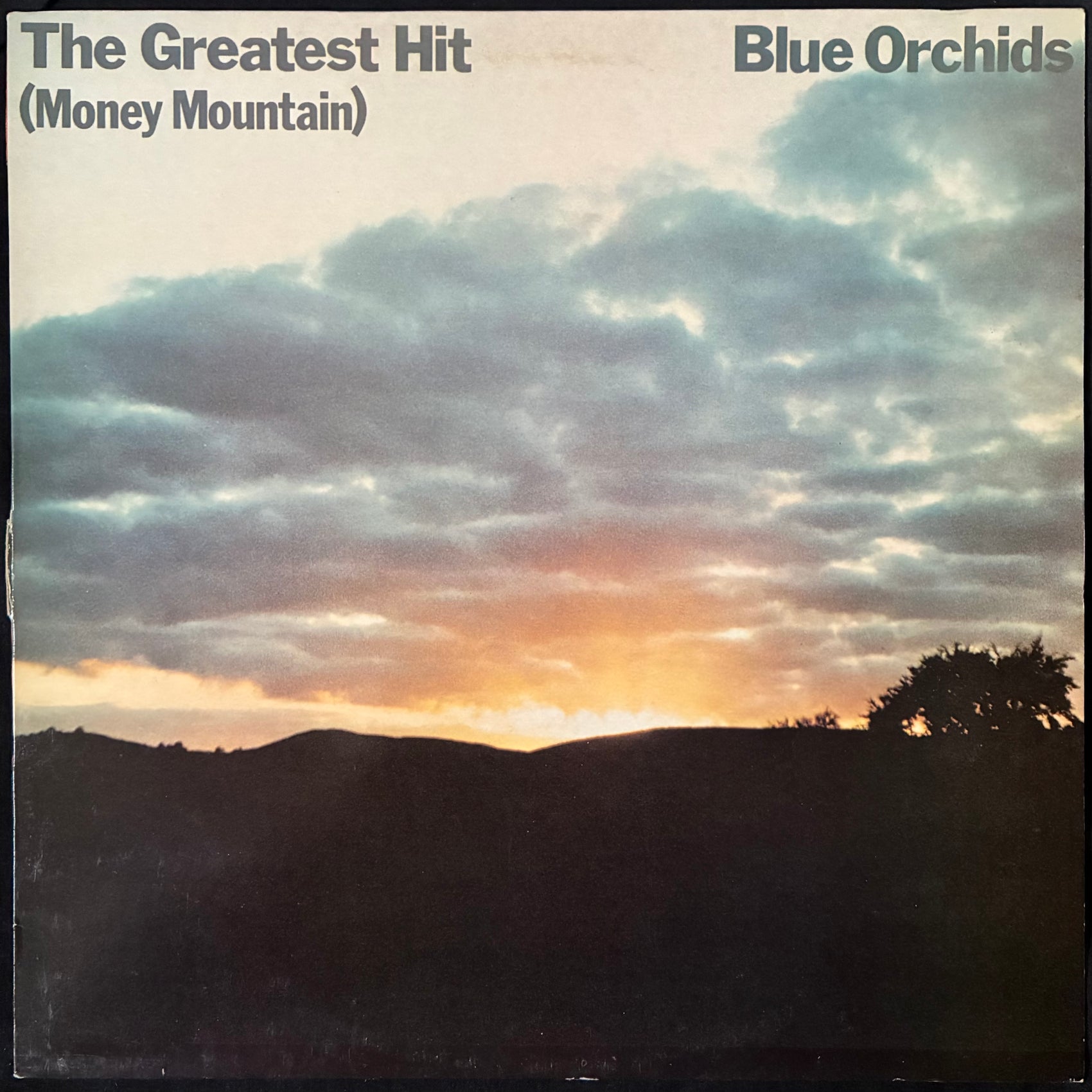 BLUE ORCHIDS - THE GREATEST HIT (MONEY MOUNTAIN) (USED VINYL 1982 UK M-/EX-)