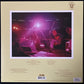 GENESIS - SELLING ENGLAND BY THE POUND (180GM) (USED VINYL 2008 EU M-/M-)