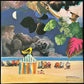 MOODY BLUES - A QUESTION OF BALANCE (USED VINYL 1978 JAPAN M-/M-)