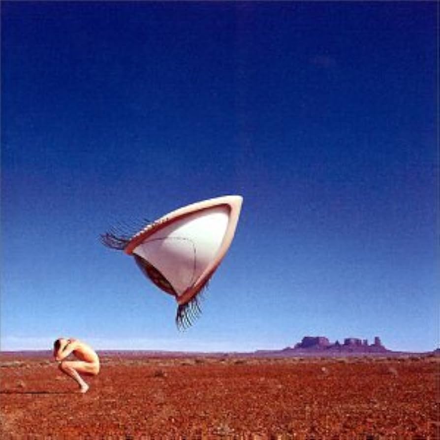 CRANBERRIES - BURY THE HATCHET (2LP) VINYL