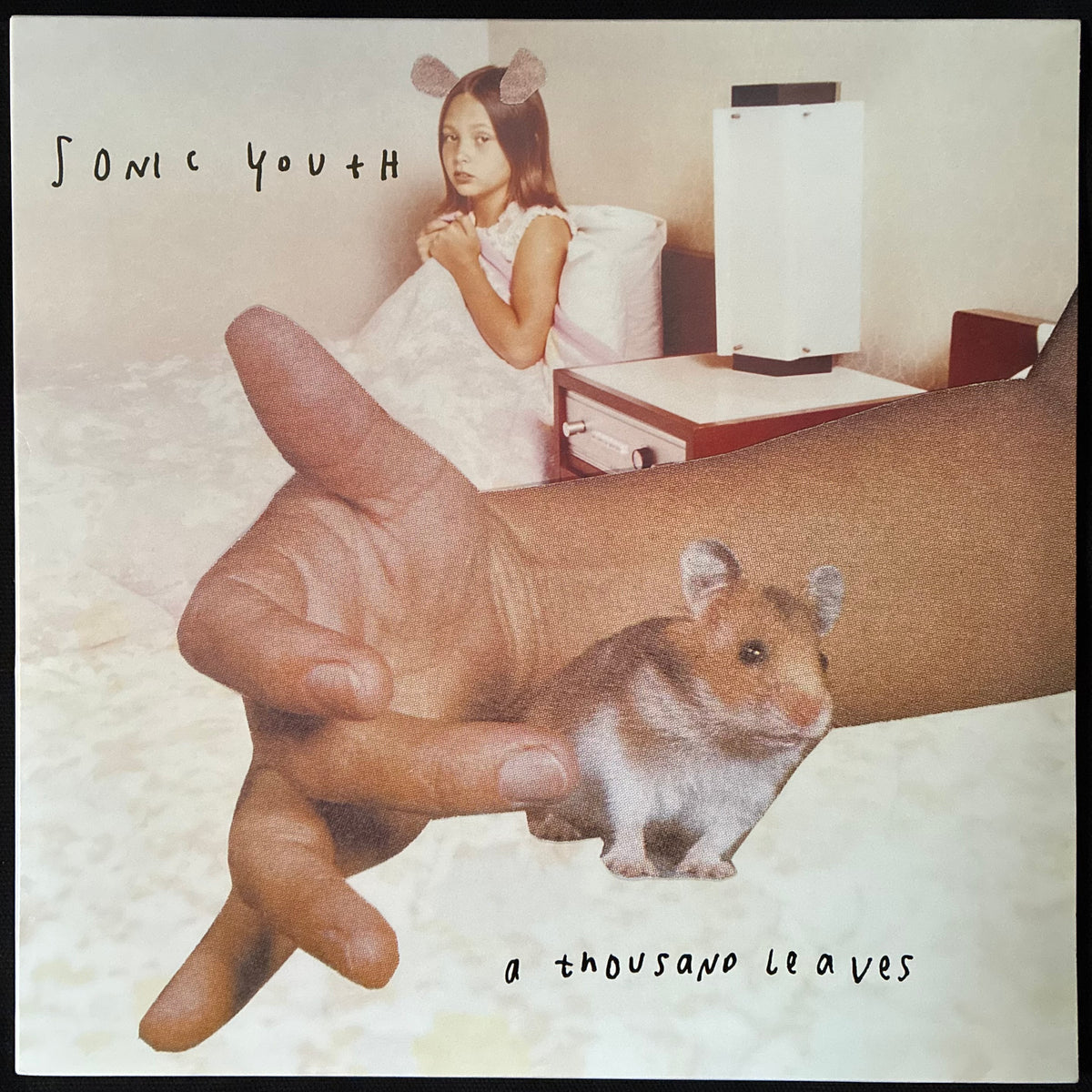 SONIC YOUTH - A THOUSAND LEAVES (2LP) (USED VINYL 2015 US M-/M-)