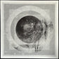 A/N - TELLURIC CURRENT (MLP) (CLEAR/SPOTTED) (USED VINYL 2019 AUS M-/M-)