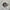 A/N - TELLURIC CURRENT (MLP) (CLEAR/SPOTTED) (USED VINYL 2019 AUS M-/M-)