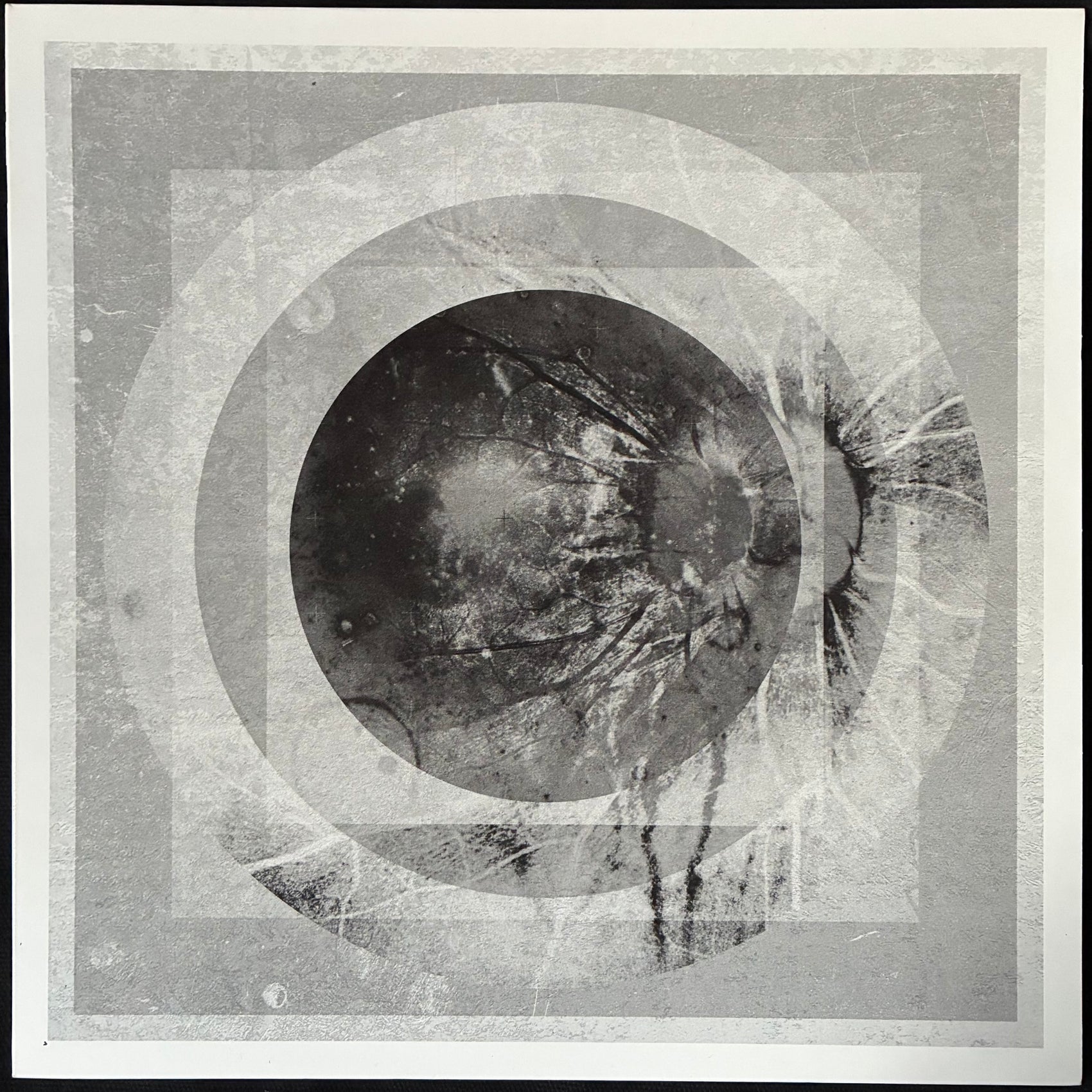 A/N - TELLURIC CURRENT (MLP) (CLEAR/SPOTTED) (USED VINYL 2019 AUS M-/M-)