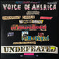 LITTLE STEVEN - VOICE OF AMERICA (PROMO) (USED VINYL 1984 AUS M-/EX+)
