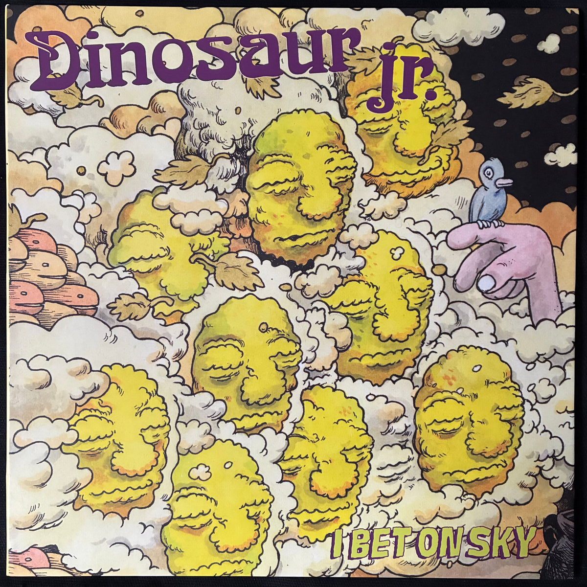 DINOSAUR JR - I BET ON SKY (USED VINYL 2012 US M-/M-)