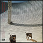 OVERMONO - GOOD LIES (USED VINYL 2023 UK M-/M-)