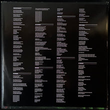 Load image into Gallery viewer, JIM O'ROURKE - SIMPLE SONGS (USED VINYL 2015 US M-/EX)
