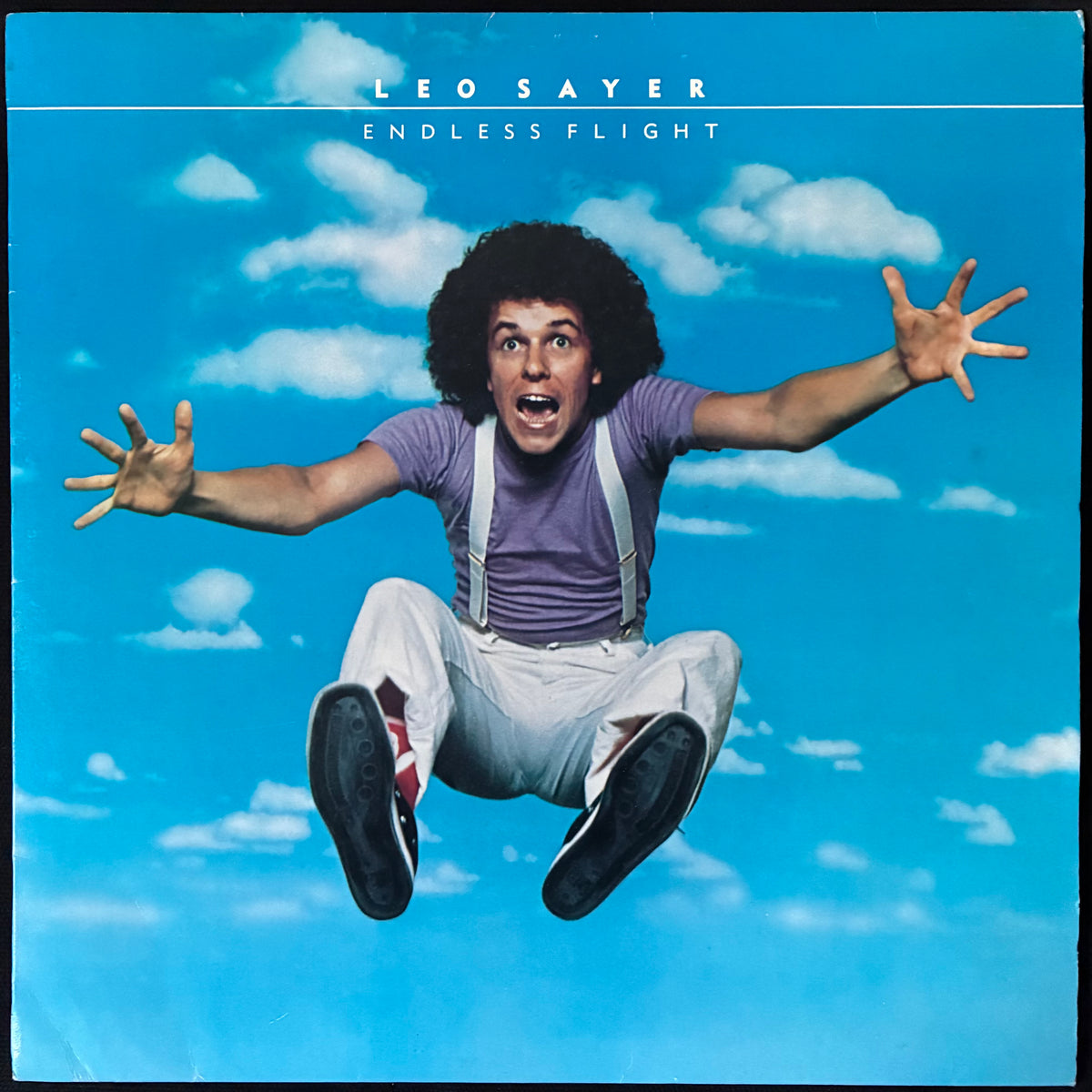 LEO SAYER - ENDLESS FLIGHT (USED VINYL 1976 AUS M-/EX+)