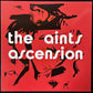 AINTS - ASCENSION (USED VINYL 1991 UK M-/M-)
