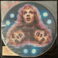 PETER FRAMPTON - FRAMPTON COMES ALIVE! (PICTURE DISC) (USED VINYL 1978 US M)
