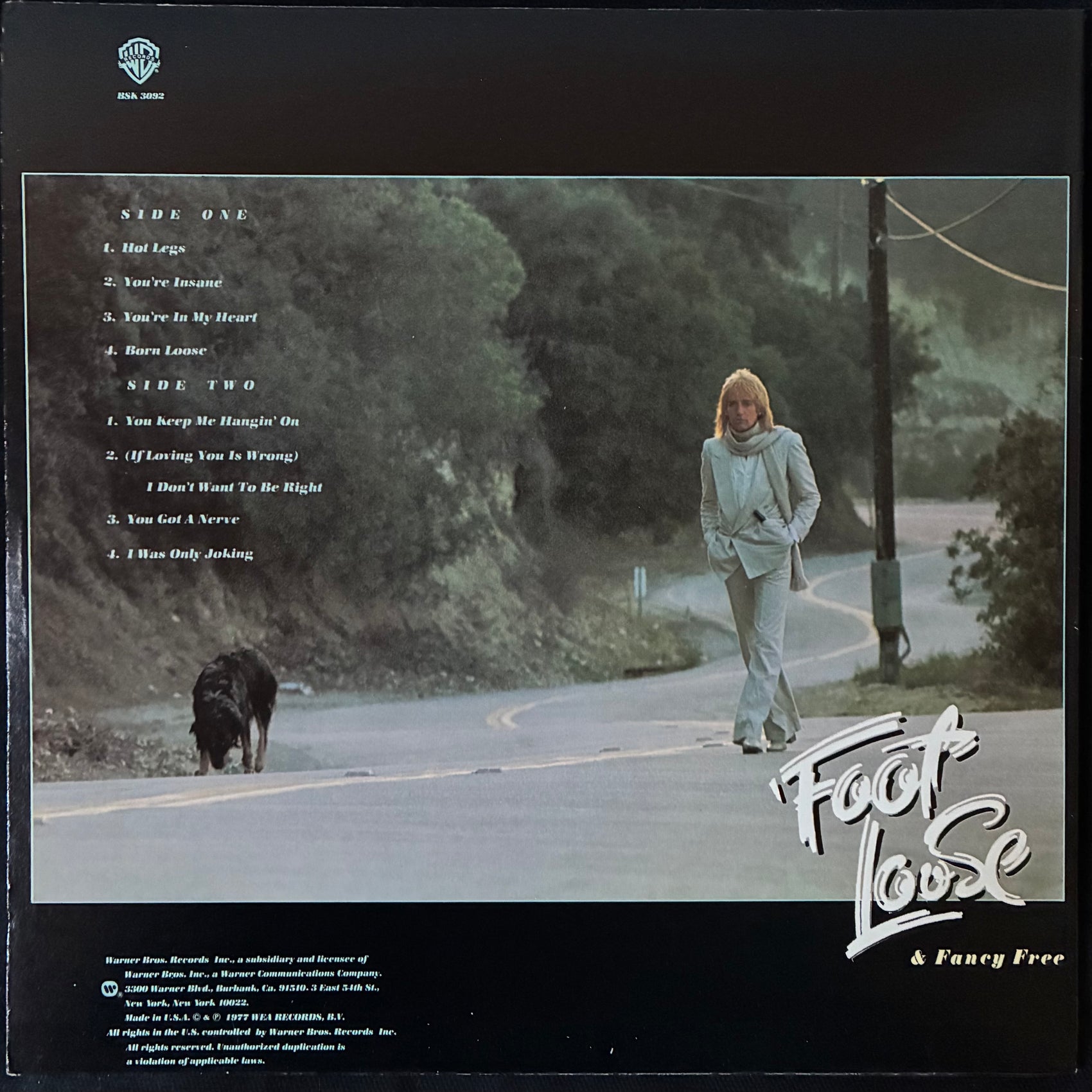 ROD STEWART - FOOT LOOSE AND FANCY FREE (USED VINYL 1977 US M-/M-)