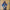 IRON & WINE - BEAST EPIC (2LP) (RED/BLUE COLOURED) (FIRST PRESSING) (USED VINYL 2017 M-/M-)