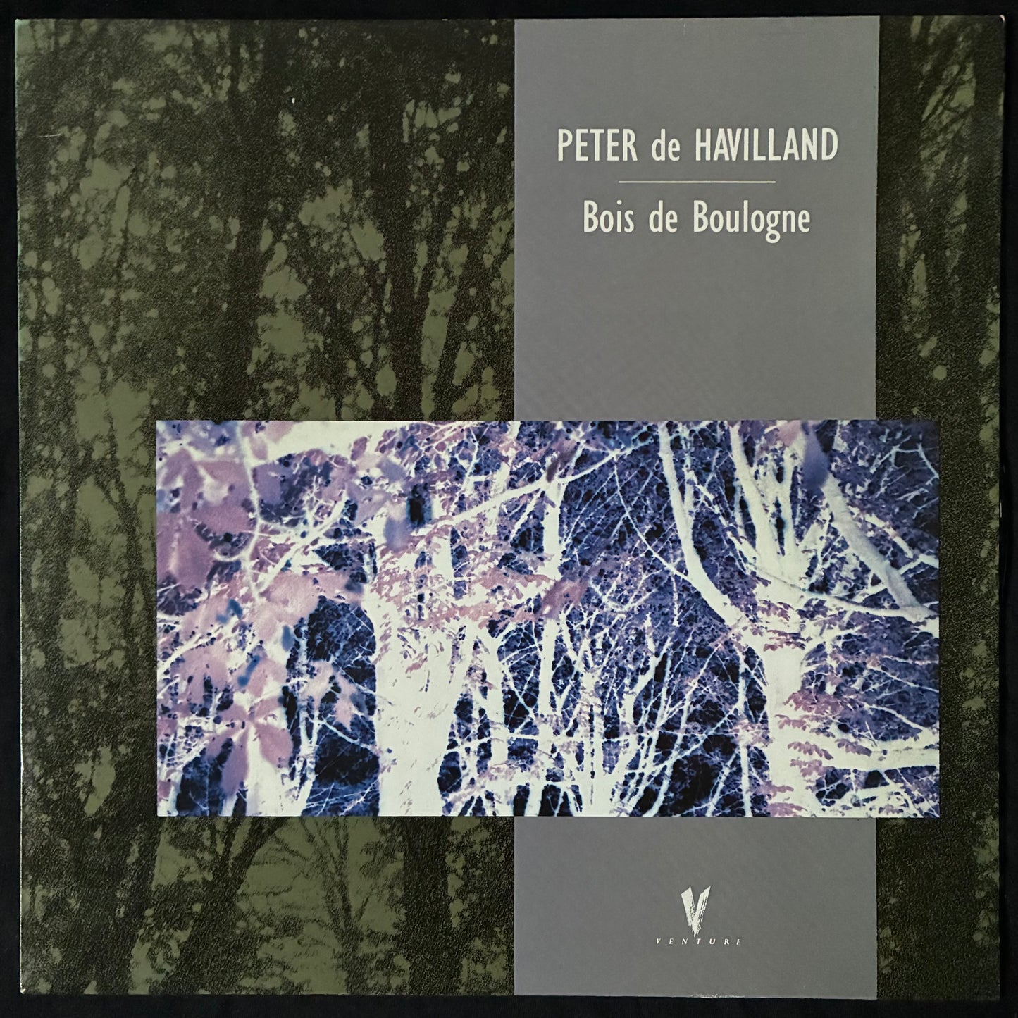 PETER DE HAVILLAND - BOIS DE BOULOGNE (USED VINYL 1987 UK M-/M-)