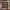 CURE - THE LOVE CATS (12") (USED VINYL 1983 AUS M-/M-)