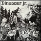 DINOSAUR JR - DINOSAUR (USED VINYL 2011 US M-/M-)