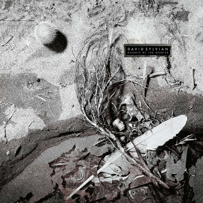 DAVID SYLVIAN - SECRETS OF THE BEEHIVE (YELLOW/BLACK COLOURED) VINYL