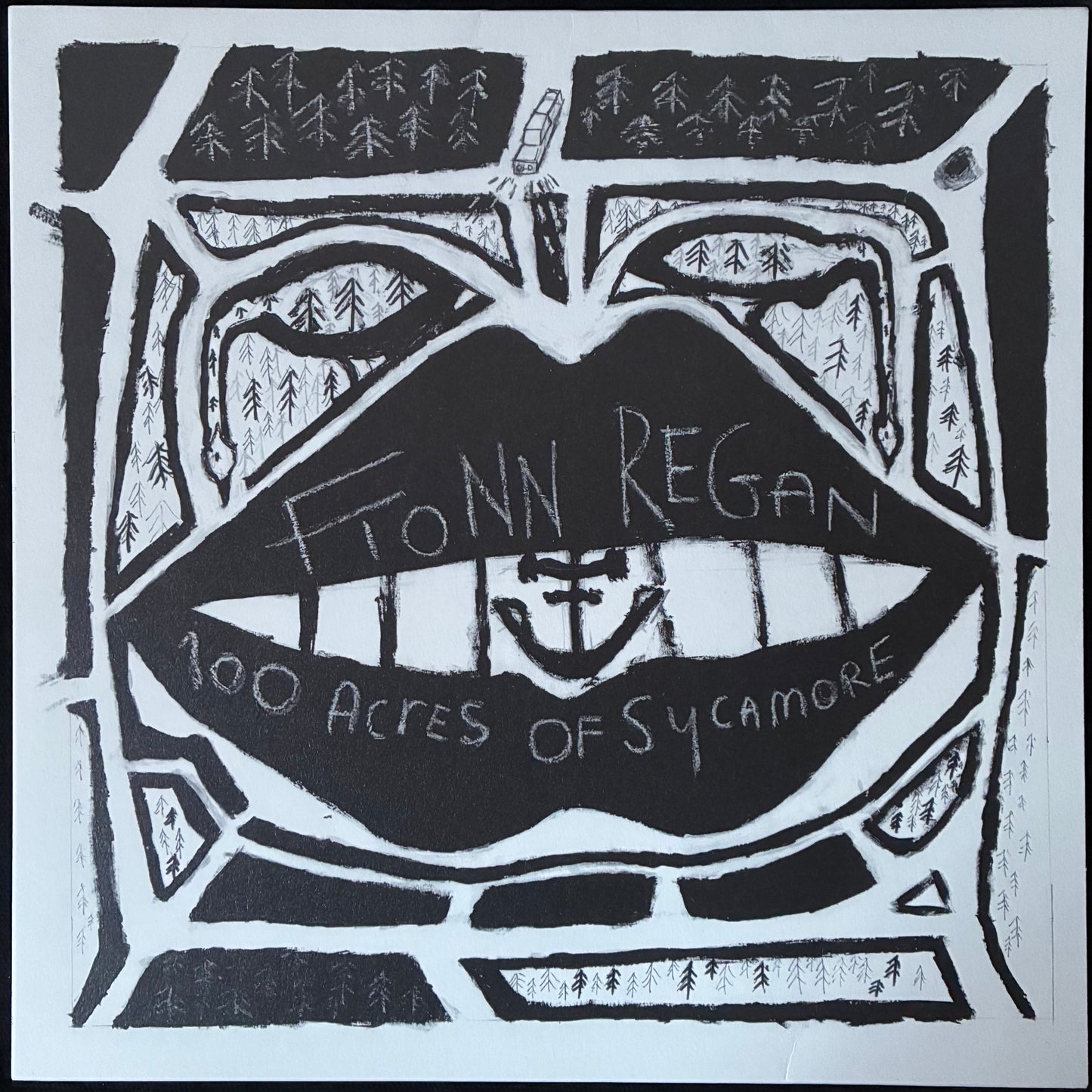 FIONN REGAN - 100 ACRES OF SYCAMORE (USED VINYL 2021 UK M-/M-)