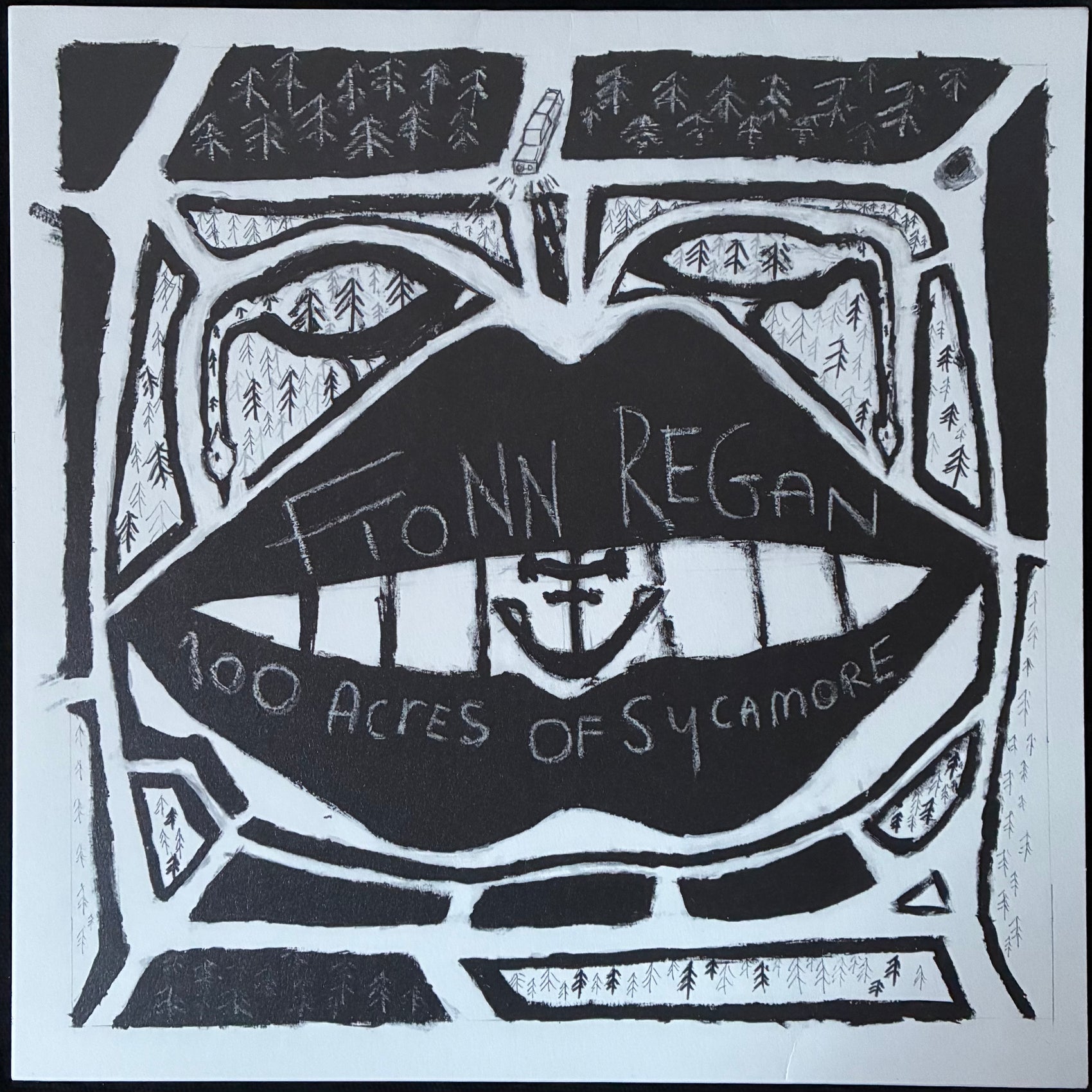 FIONN REGAN - 100 ACRES OF SYCAMORE (USED VINYL 2021 UK M-/M-)