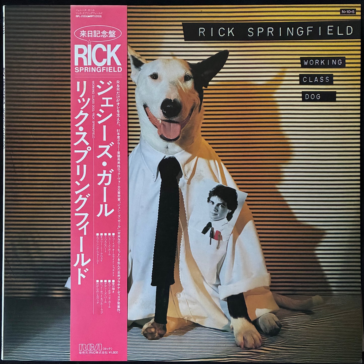 RICK SPRINGFIELD - WORKING CLASS DOG (USED VINYL 1984 JAPAN M-/M-)