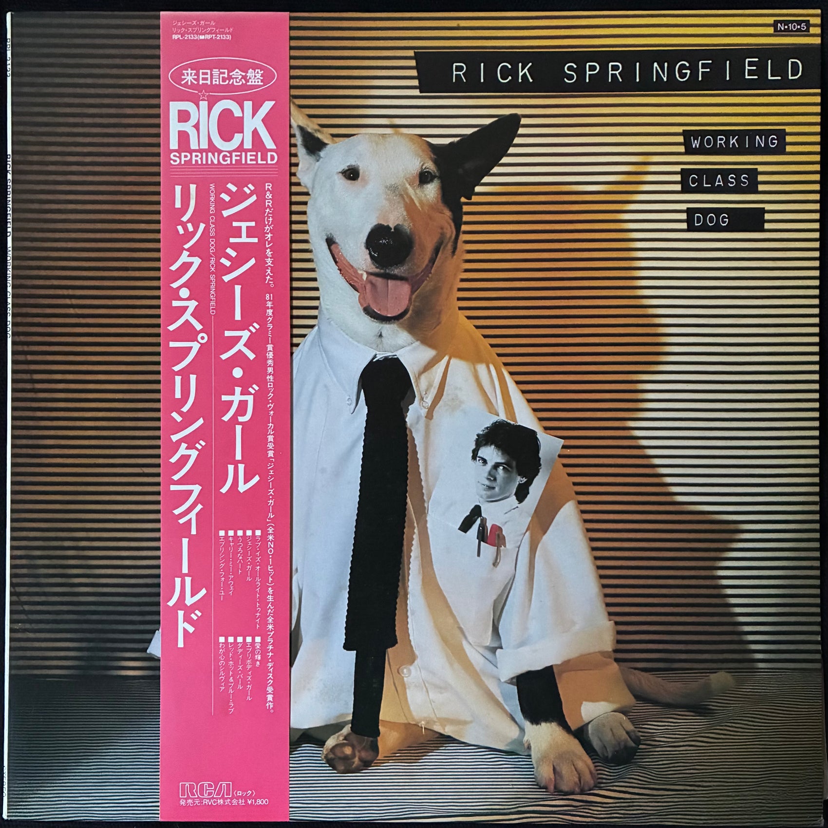 RICK SPRINGFIELD - WORKING CLASS DOG (USED VINYL 1984 JAPAN M-/M-)