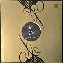 Load image into Gallery viewer, ADAM BEYER - STEREOTYPES (12") (CLEAR VINYL) (USED VINYL 2005 GERMANY M-)
