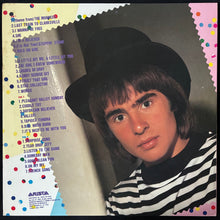 Load image into Gallery viewer, MONKEES - GOLDEN STORY (2LP) (USED VINYL 1980 JAPAN EX+/EX+)
