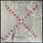 STEPHEN MALKMUS - GROOVE DENIED (USED VINYL 2019 EU M-/M-)