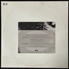 Load image into Gallery viewer, FLAMING LIPS - THE SOFT BULLETIN COMPANION (2LP) (SILVER COLOURED) (USED VINYL 2021 M-/M-)

