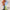 JACOB COLLIER - DJESSE VOLUME 1 VINYL