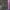 HOLLY HUMBERSTONE - PAINT MY BEDROOM BLACK (PURPLE MARBLED) (SIGNED) (USED VINYL 2023 UK/EU M-/M-)