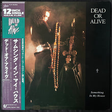 Load image into Gallery viewer, DEAD OR ALIVE - SOMETHING IN MY HOUSE (12") (USED VINYL 1987 JAPAN M-/M-)
