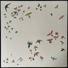 Load image into Gallery viewer, MODERN NATURE - NO FIXED POINT IN SPACE (USED VINYL 2023 UK M-/EX+)
