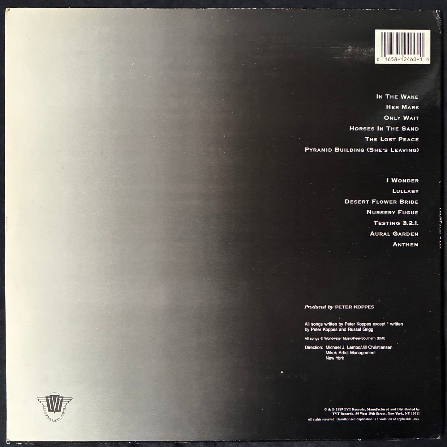 PETER KOPPES - FROM THE WELL (USED VINYL 1989 US M-/EX+)