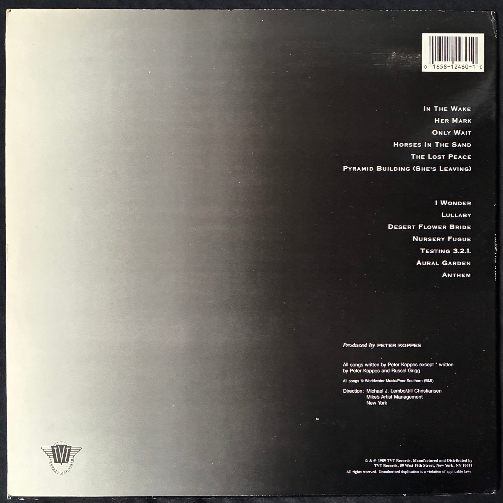 PETER KOPPES - FROM THE WELL (USED VINYL 1989 US M-/EX+)