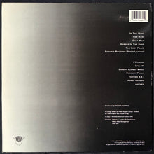 Load image into Gallery viewer, PETER KOPPES - FROM THE WELL (USED VINYL 1989 US M-/EX+)
