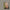 STEVE YOUNG - LONG TIME RIDER VINYL