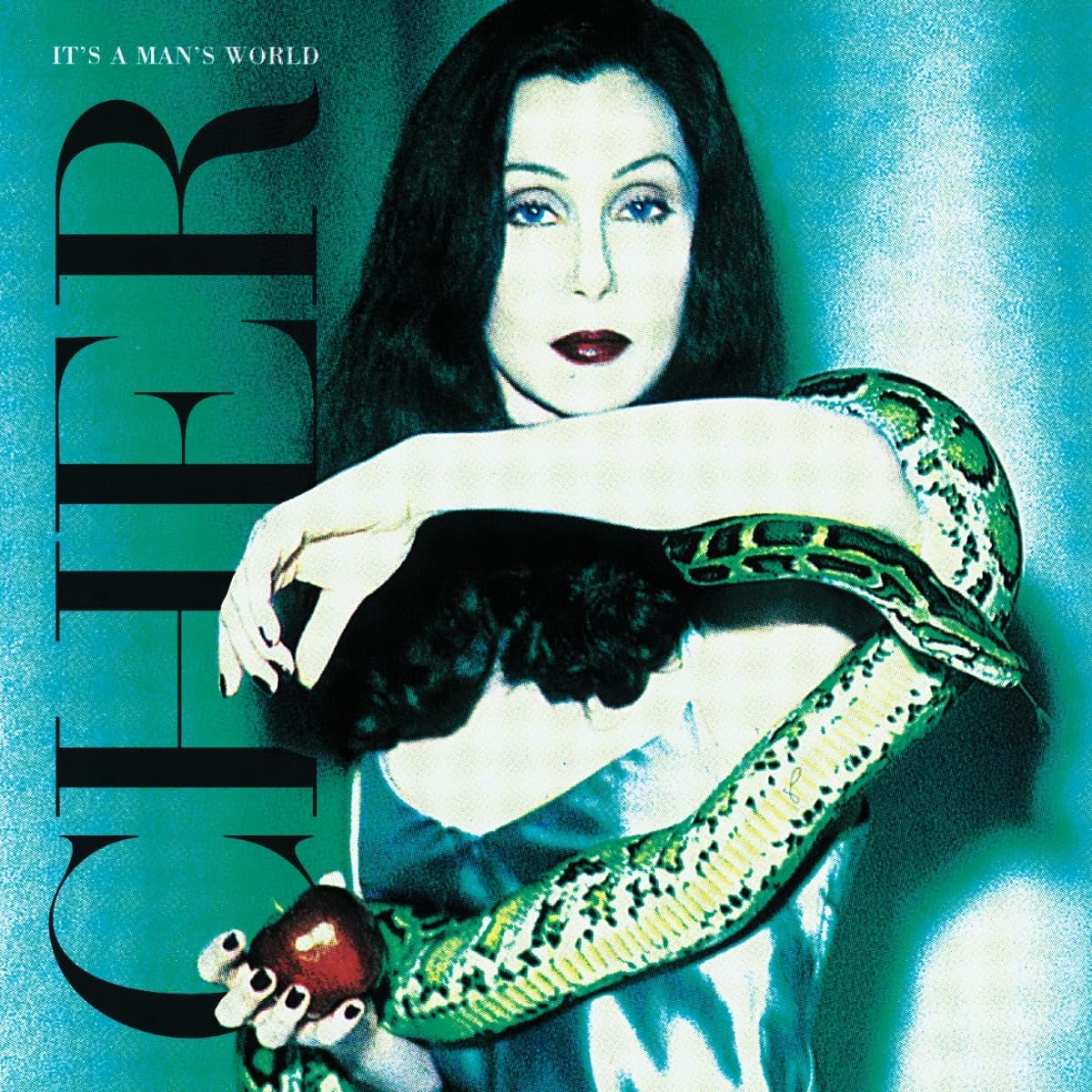 CHER - ITS A MANS WORLD (2LP) VINYL