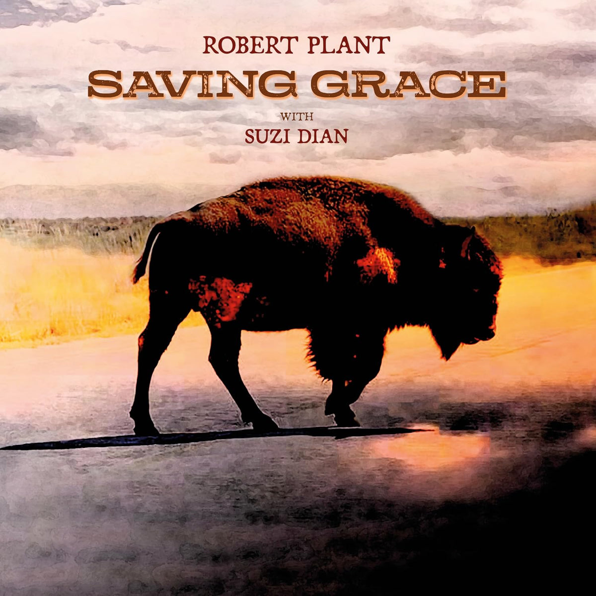 ROBERT PLANT - SAVING GRACE VINYL