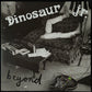 DINOSAUR JR. - BEYOND (GREEN/PURPLE COLOURED) (USED VINYL 2022 US M-/M-)