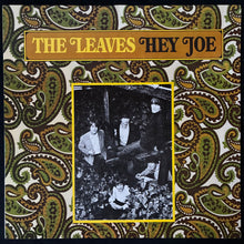 Load image into Gallery viewer, LEAVES - HEY JOE (USED VINYL 1981 GERMANY M-/M-)

