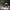 ADVERTISMENT - ESCORTS (USED VINYL 2023 US M-/M-)