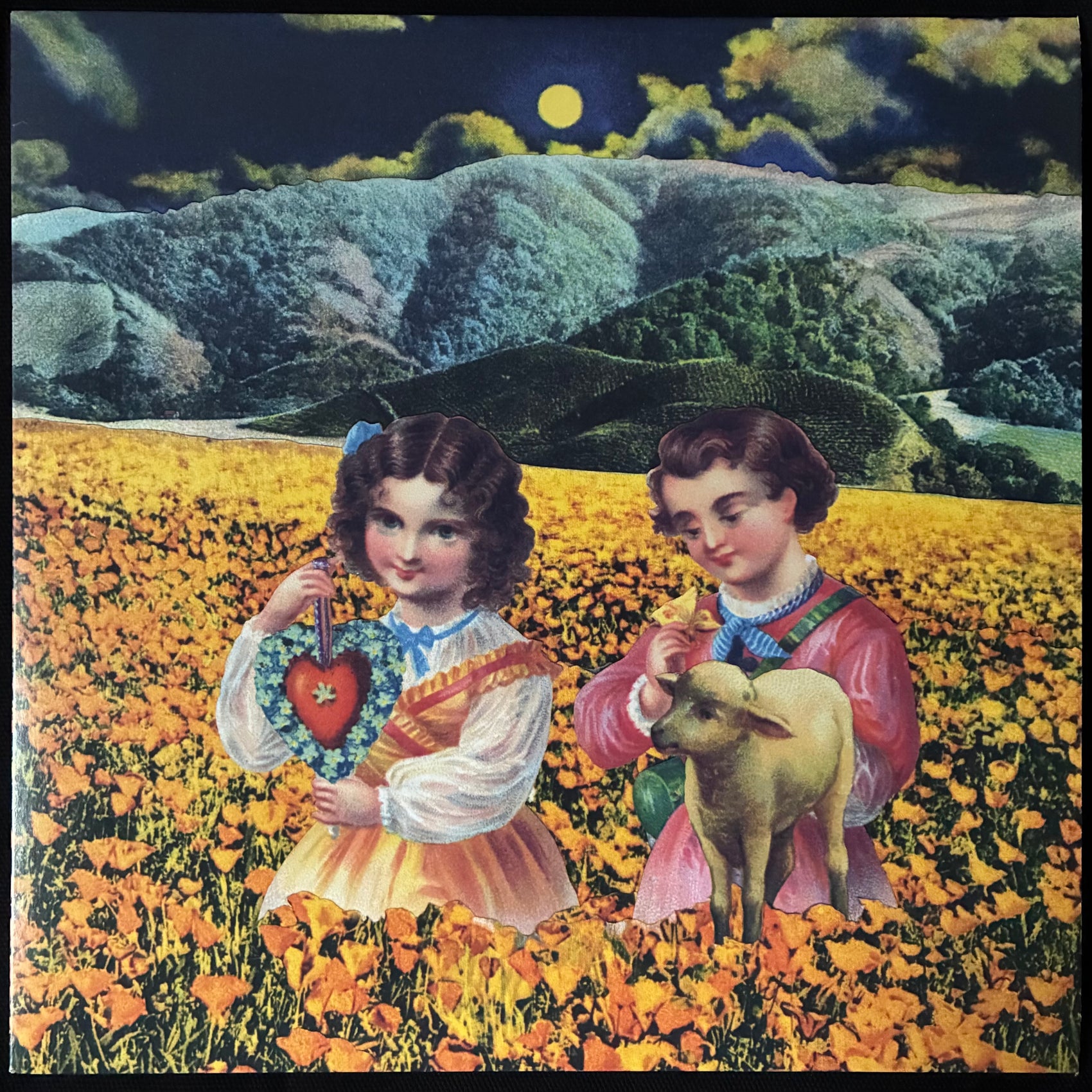SMASHING PUMPKINS - MELLON COLLIE AND THE INFINITE SADNESS (4LP BOX SET) (USED VINYL 2022 M-/M-)