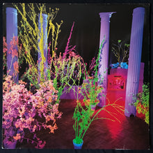 Load image into Gallery viewer, HÜSKER DÜ - WAREHOUSE: SONGS AND STORIES (2LP) (USED VINYL 1987 GERMANY EX+/EX+)
