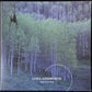 LYDIA AINSWORTH - RIGHT FROM REAL (USED VINYL 2014 CANADA M-/M-)