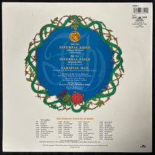 Load image into Gallery viewer, FISH - INTERNAL EXILE (PICTURE DISC) (USED VINYL 1991 UK M-/M-)
